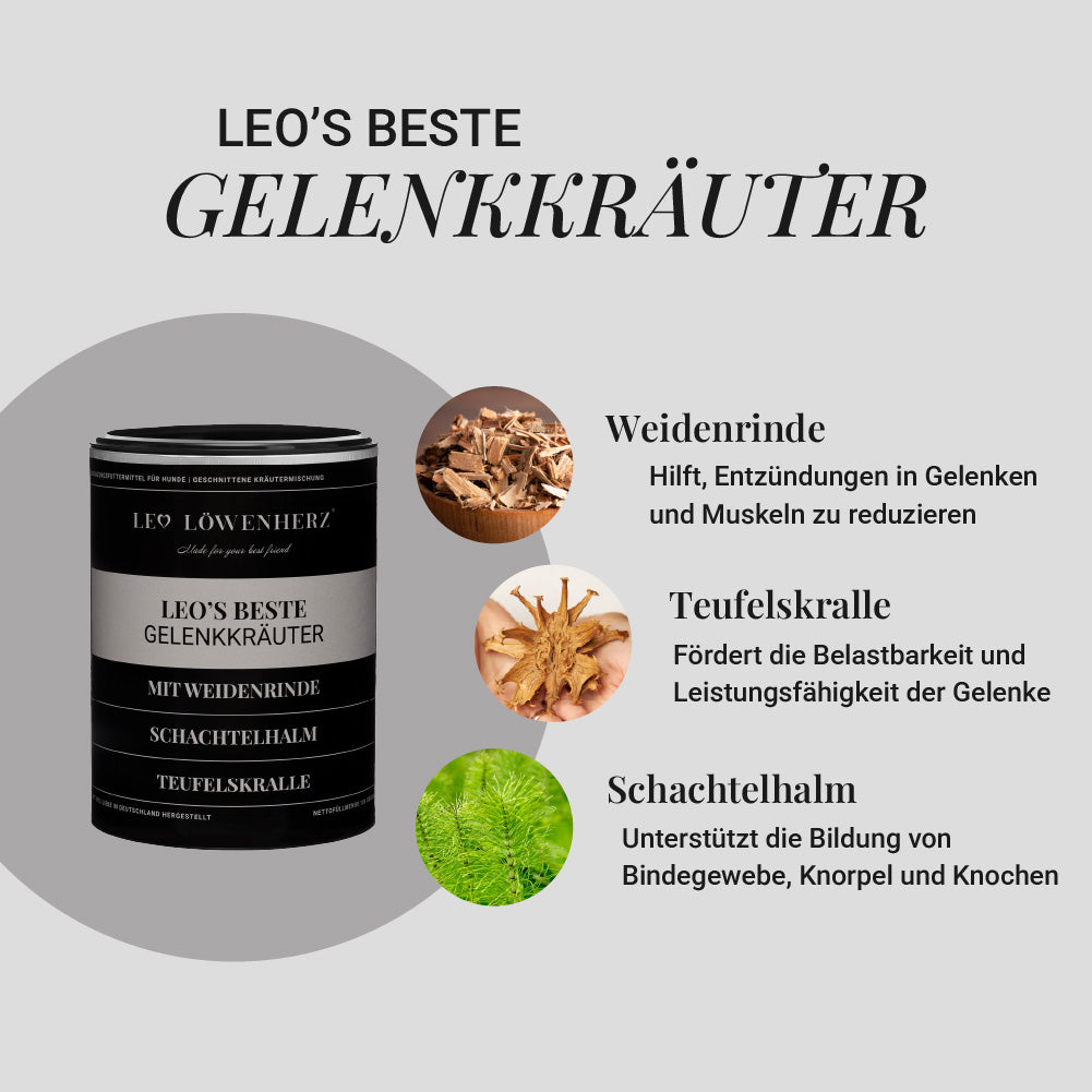 Gelenk-Trio