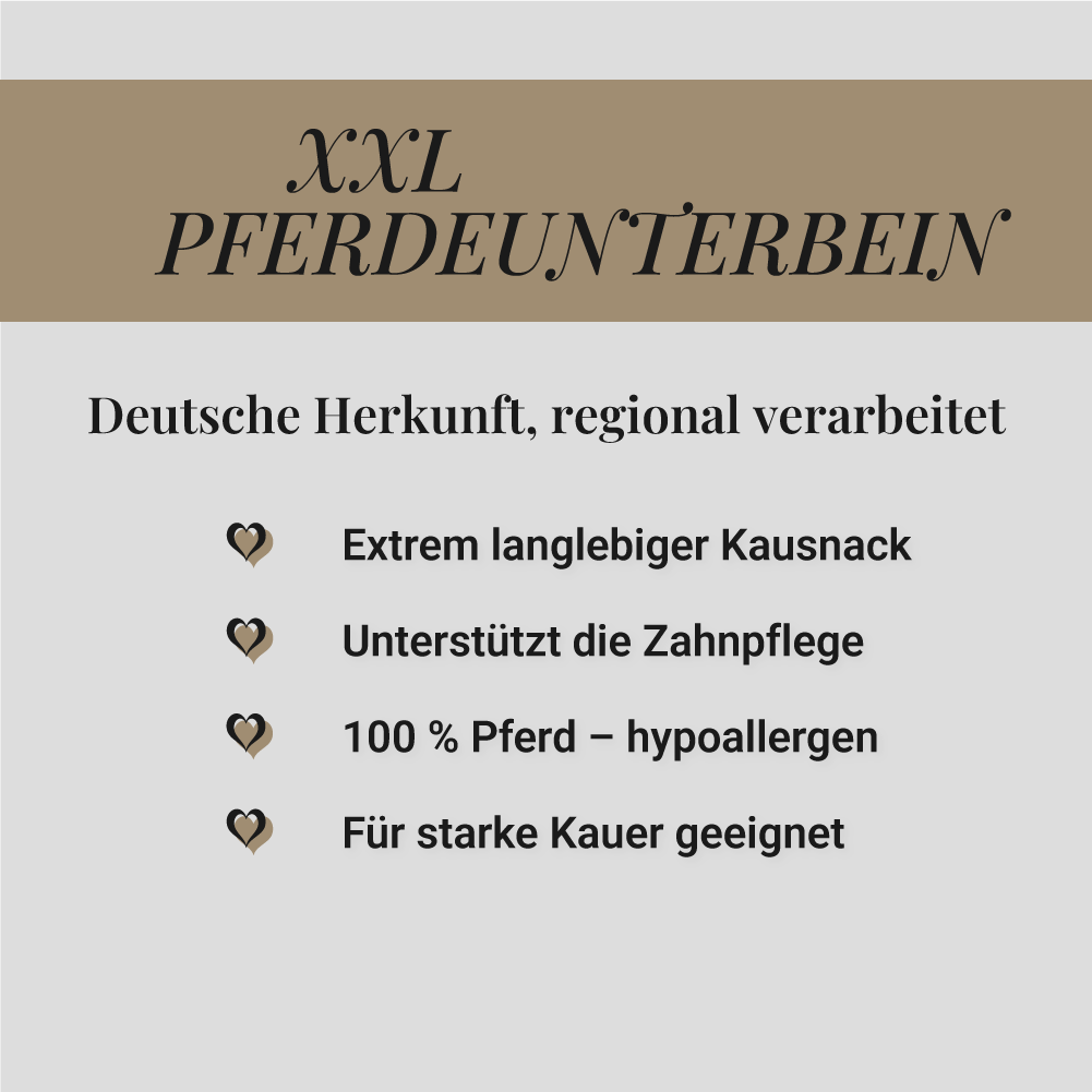Pferdeunterbein
