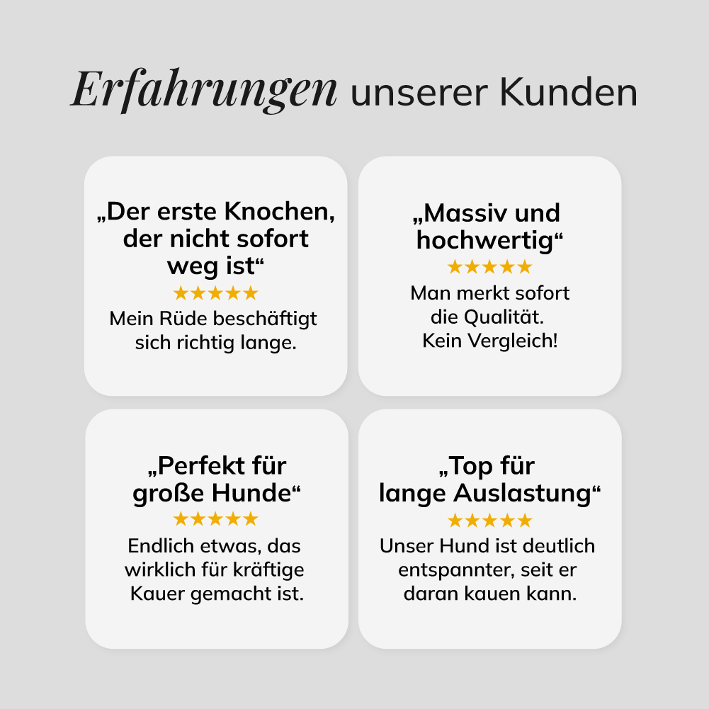 Pferdeunterbein