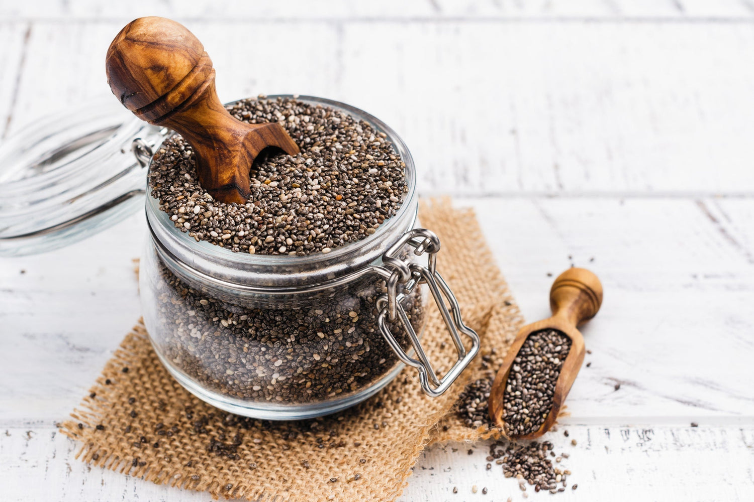 Chiasamen – Glutenfreie Energiequelle für Hunde