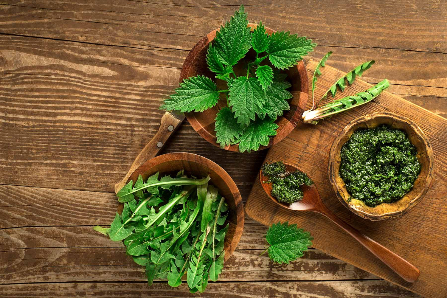 Es riecht nach Frühling: anregendes Hundepesto