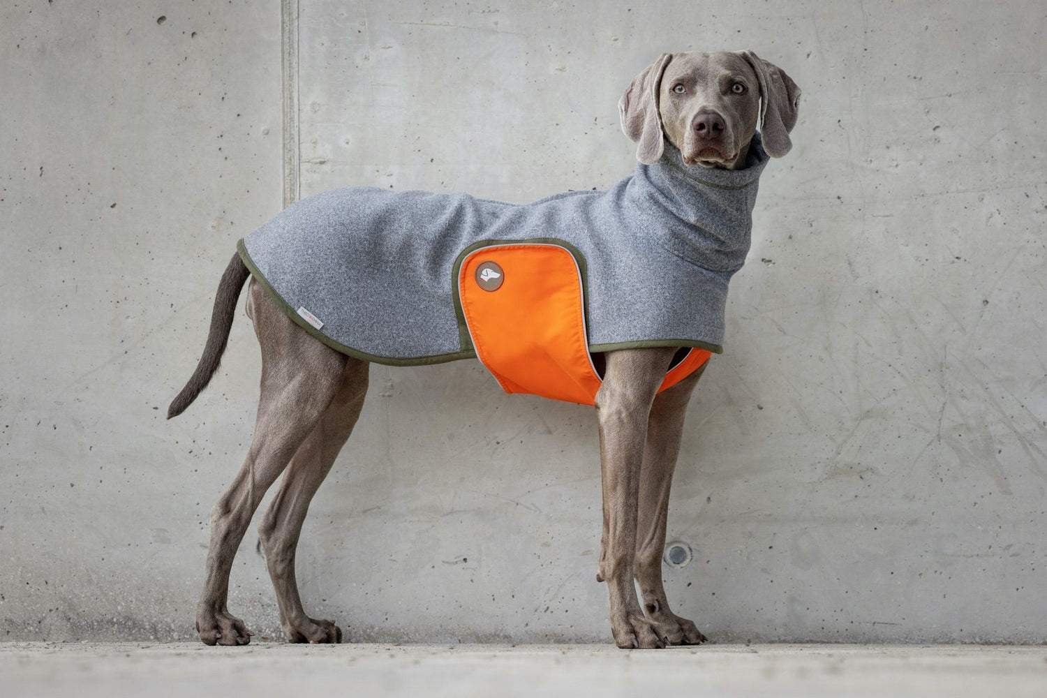 Hundemantel