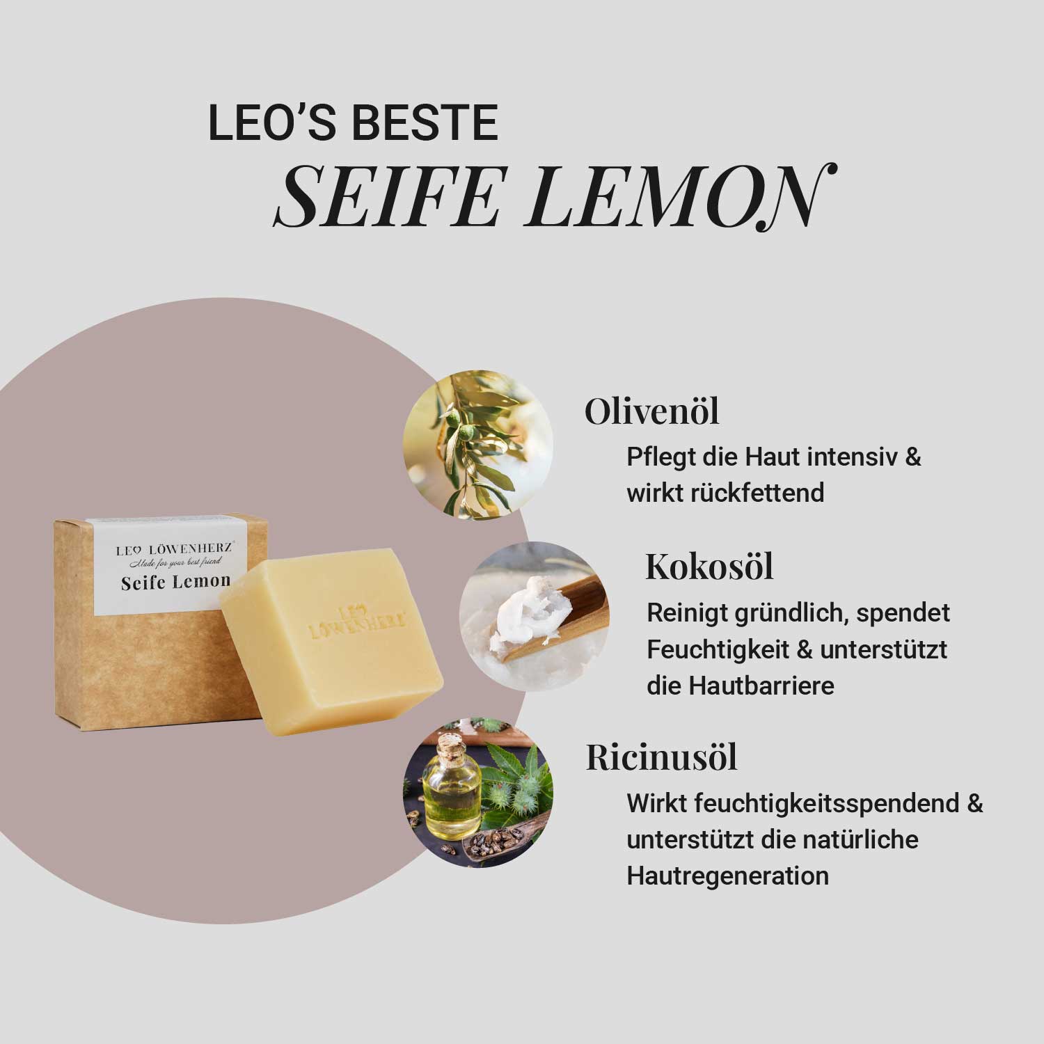 Fellpflege-Set