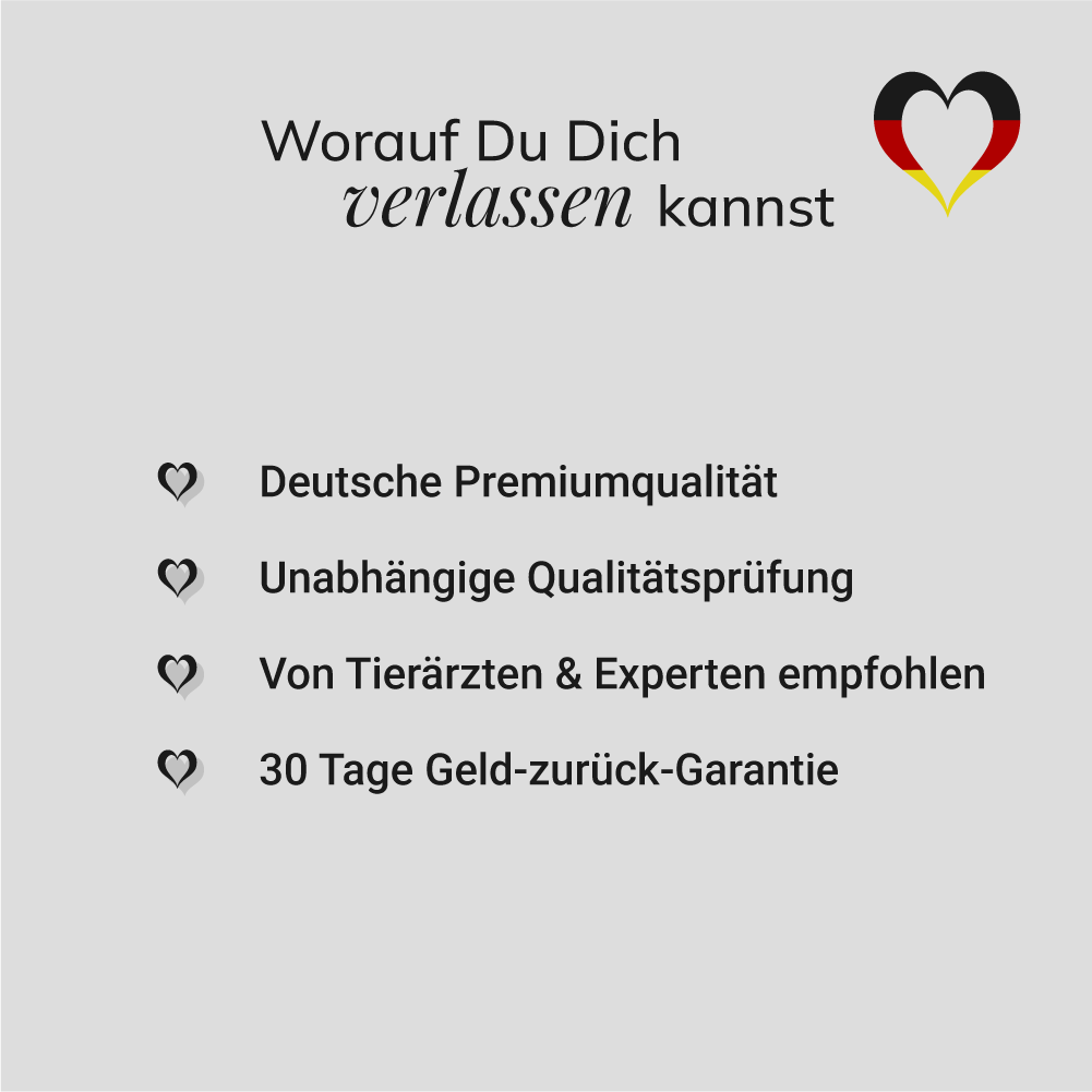 Abwehr-Set