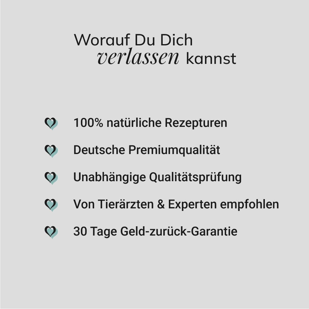 Dentalspray, 100ml