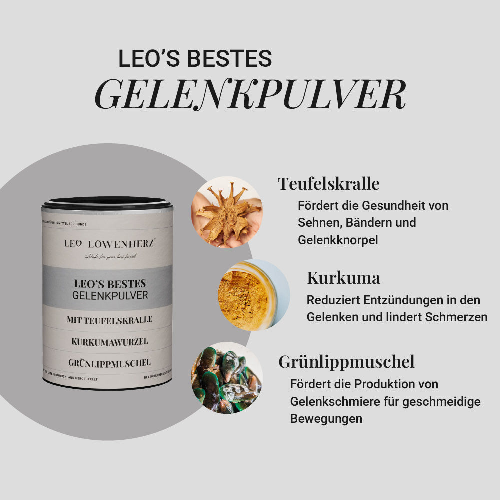 Gelenk-Trio