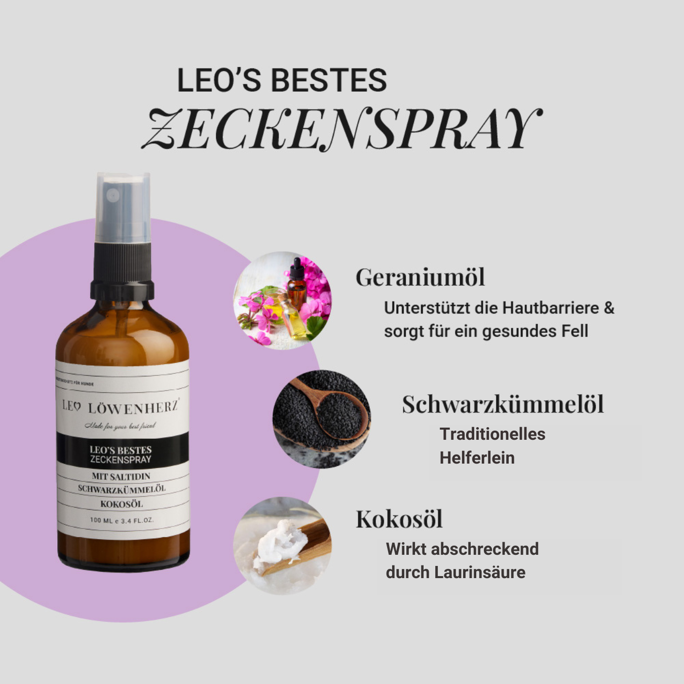 Abwehr-Set